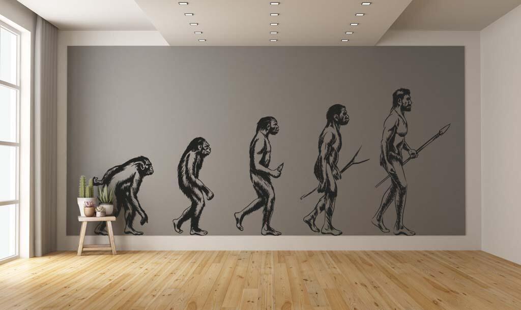 Виниловая наклейка на стену Эволюция человека от обезьяны купить