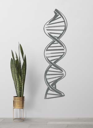 наклейка Спираль ДНК